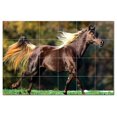 thumbnail image 1 of Horse Photo Ceramic Tile Mural Kitchen Backsplash Bathroom Shower, 405262-M64, 1 of 9