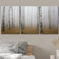 thumbnail image 3 of FCCUYE - 3 Piece Canvas Wall Art - Cannabis Texture Marijuana Leaf Pile Background with Flat Vintage Style - Modern Home Art Stretched and Framed Ready to Hang - 16"x24"x3 Panels, 3 of 6