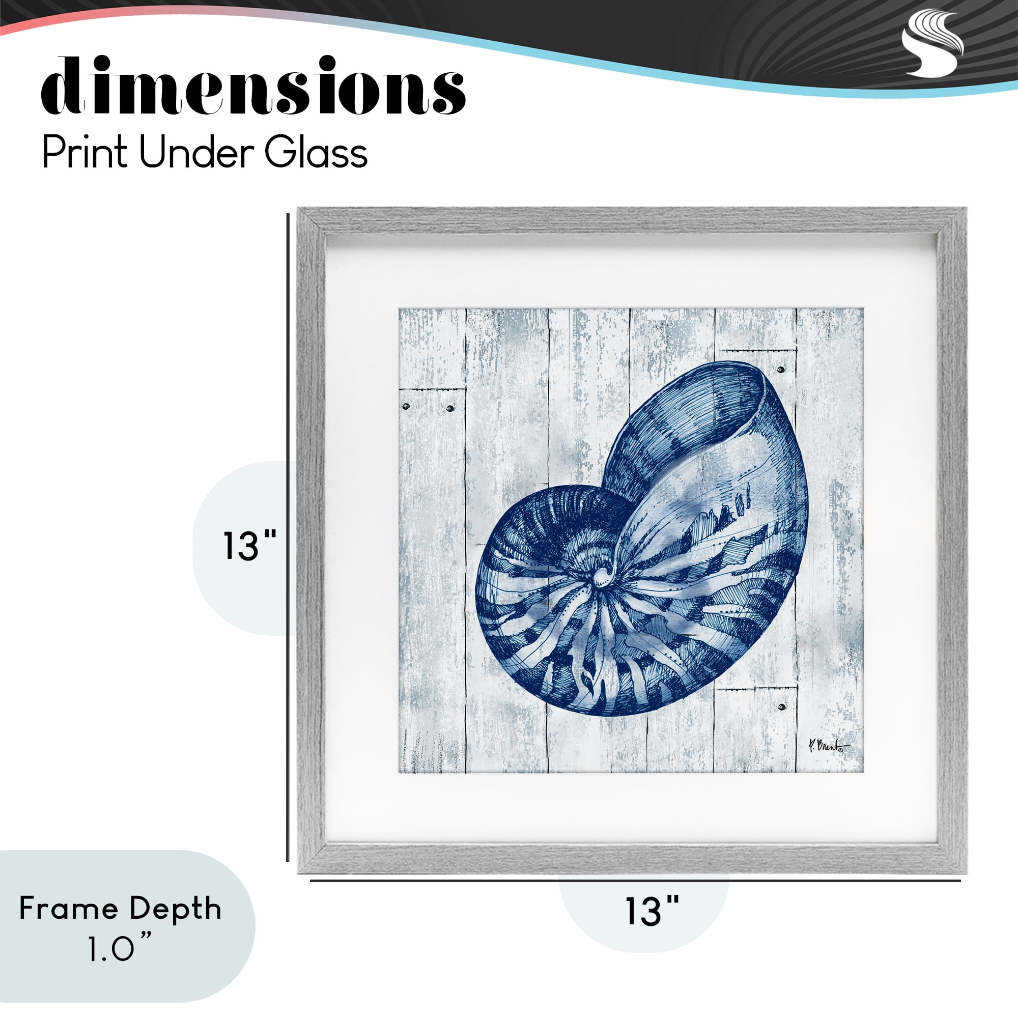 Stupell Industries Coastal Timberland Nautilus Gray Framed Print Under Glass, design by Paul Brent