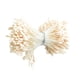 thumbnail image 2 of Estambre doble cabeza Sunnimix, 2 of 8