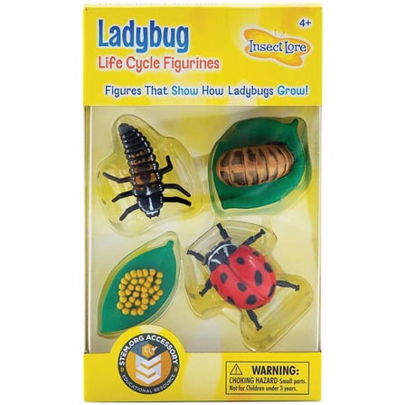 Ladybug Life Cycle Stages Figurines - Set of 2