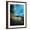 Brown Frame, variant on Art.com Blue Cornflowers 4505072 Stretched Canvas Print Wall Art by Pol Ledent, 18" x 24"