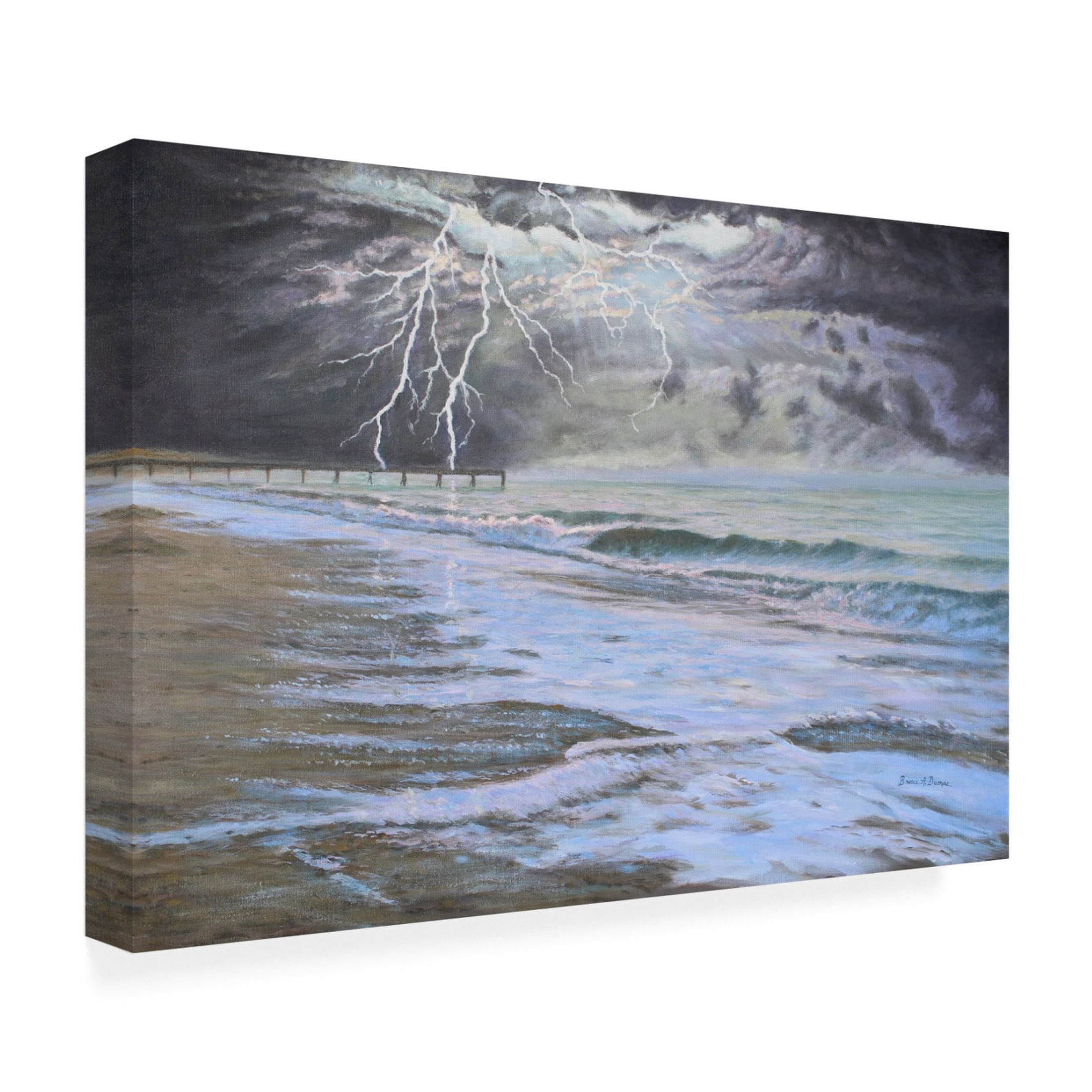 Canvas Wall Art - Bruce Dumas 'Stormy' Wall Art for Living Room, Bedroom, or Office Décor by Trademark Fine Art - 24 x 16 Inches