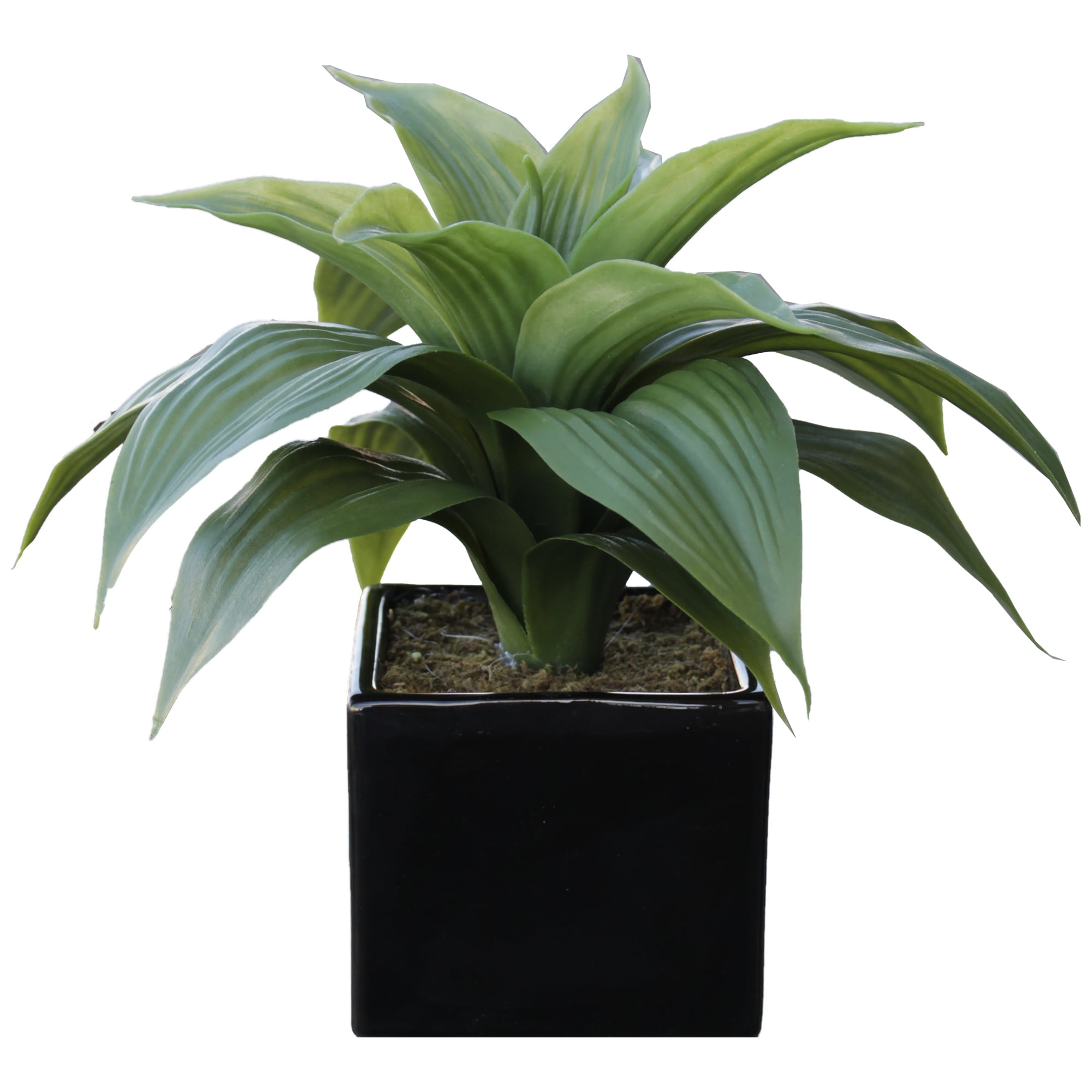 Mainstays 10.5 Inches Spiky Artificial Green Plant