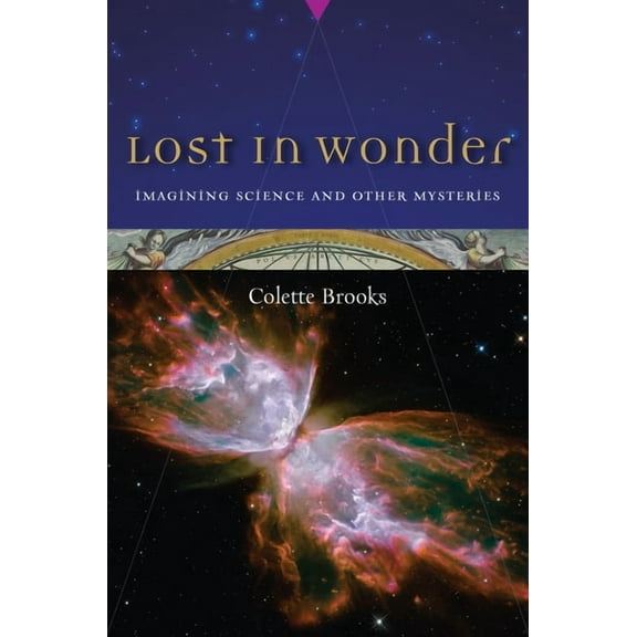 Lost in Wonder : Imagining Science and Other Mysteries (Paperback)