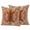 Red, Orange, Tan, Beige, variant on Outdoor Pillow Covers 24 x 24 Inches, Tiger Retro Waterproof Throw Pillow Cover Set of 2, Orange Boho Animal Ethnic Tribal Floral Decorative Square Cushion Covers for Patio/Tent/Couch/Garden