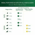 thumbnail image 6 of Ocu-GLO PB Vision Supplement for Medium & Large Dogs Easy to Administer Powder Blend with Lutein, Omega-3 Fatty Acids, Grape Seed Extract & Antioxidants to Promote Eye Health, 90ct Powder Capsules, 6 of 6