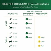 Ocu-GLO PB Vision Supplement for Medium & Large Dogs Easy to Administer Powder Blend with Lutein, Omega-3 Fatty Acids, Grape Seed Extract & Antioxidants to Promote Eye Health, 90ct Powder Capsules