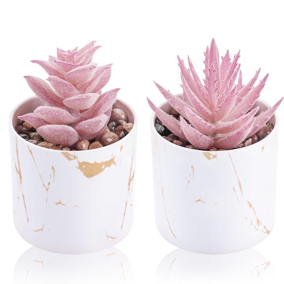 Set of 2 Succulents Plants Artificial Mini Fake Succulents Plants for Office Desk Accessories for Women Pink Home Vanity Decor