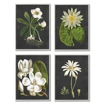 Stupell Industries Vintage White Florals over Distressed Grey Lotus Daisies, 11 x 14,Design by Lettered and Lined