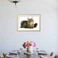 thumbnail image 3 of Maine Coon, Animals Framed Art Print Wall Art Sold by ArtCom, 3 of 5