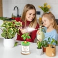 thumbnail image 6 of AURIGATE Pressurized Spray Bottle for Plants Garden Misters,Green Fine Mist Nozzle Handheld Pressure Sprayer,Watering Cleaning Hair DIY Crafts Garden Tool, 6 of 6