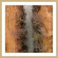 thumbnail image 2 of Marmont Hill "Marshy Path" by Karolis Janulis Framed Painting Print, 2 of 6