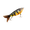 Perch, variant on Topwater Glide Bait Bass Fishing Lure Game Changer Bait The Glide 5in Spotted Sunfish