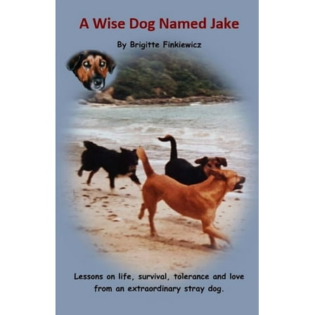A Wise Dog Named Jake : Lessons on life, survival, tolerance and love from an extraordinary stray dog (Paperback)