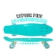 thumbnail image 3 of Patineta Cruiser Penny Menta Reposapiés Antiderrapante LAVIGA  Plástico de Alta Resistencia, 3 of 5