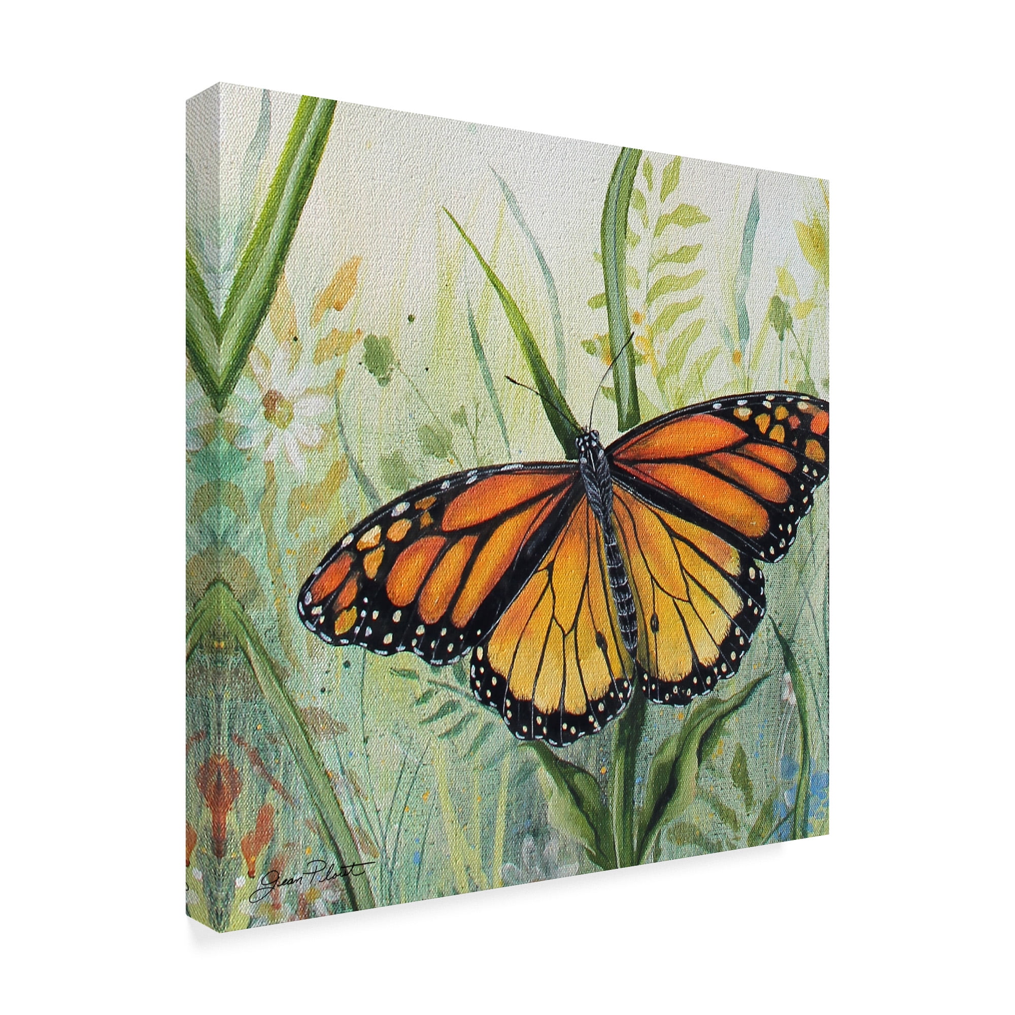 Trademark Fine Art 'Potanical Beauties 1' Canvas Art by Jean Plout