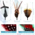 thumbnail image 2 of Plumas para sombreros Syhood, estilo clásico, colores surtidos, 20 unidades, 2 of 7