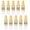 Warm White, variant on GRV 10PCS G4-1505 3W LED Light Bulbs Equivalent to 20W Halogen Bulb,Super Bright AC12V/DC12V 6000K Cool White Bulbs Replacement for RV Indoor Lights and Outdoor Landscape Lighting