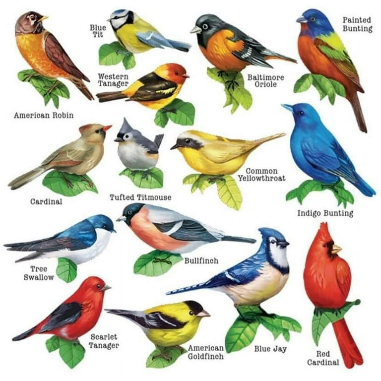 Cra-Z-Art Multi-Shaped 500-Piece Songbirds II Jigsaw Puzzle