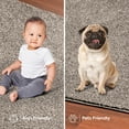 thumbnail image 5 of Furnishmyplace Modern Plush Solid Color Rug - Pet Friendly, Made in USA, Area Rugs 8' x 12', 5 of 10