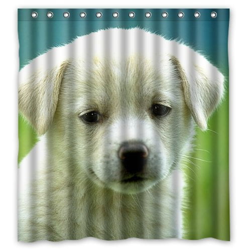YUSDECOR Floral Print Cute Doggy Poodle Pet Canis Lupus Familiaris Waterproof Shower Curtain Set with Hooks Bathroom Accessories Size 66x72 inches