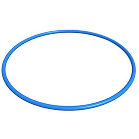 Filter Head O-ring - Filter Head O-Ring