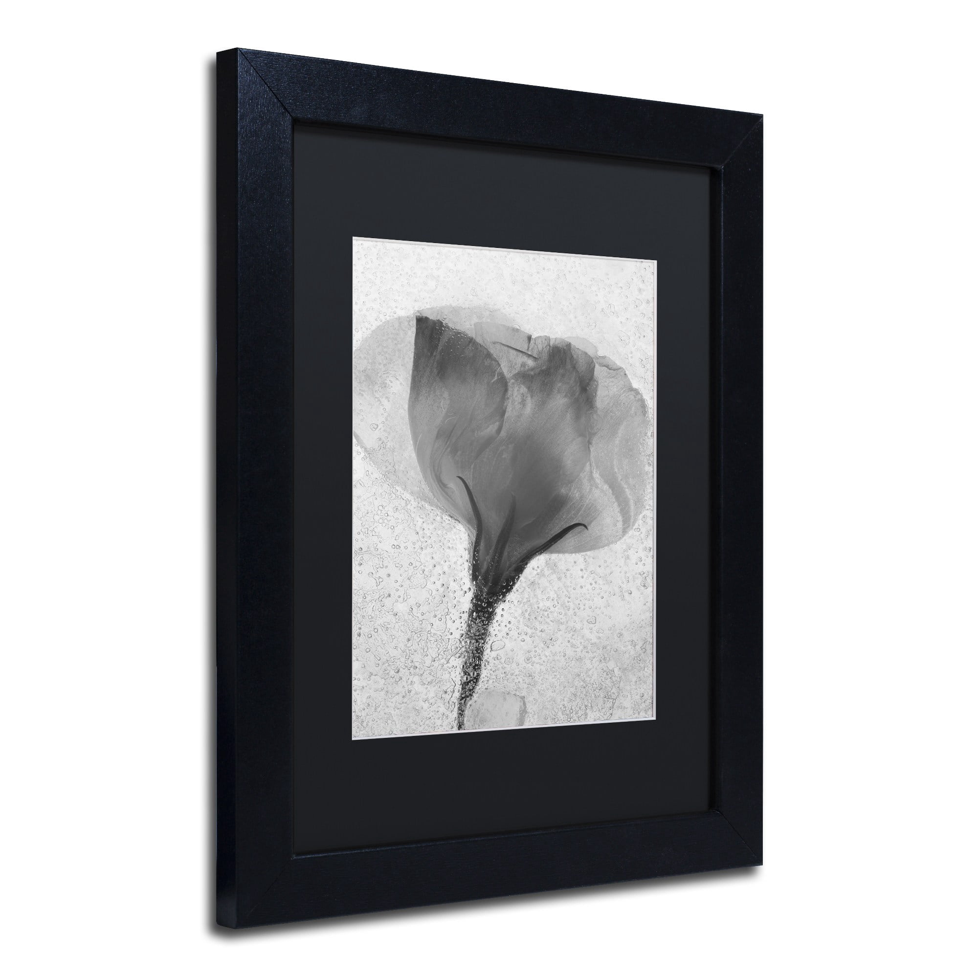 Trademark Fine Art "Flowers on Ice BW-2" Canvas Art by Moises Levy, Black Matte, Black Frame