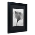 thumbnail image 3 of Trademark Fine Art "Flowers on Ice BW-2" Canvas Art by Moises Levy, Black Matte, Black Frame, 3 of 5