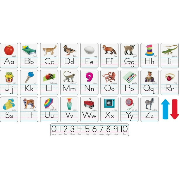 trend photo alphabet cards zaner bloser manuscript