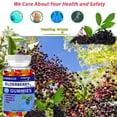 thumbnail image 6 of Elderberry Gummies with Zinc and Vitamin C (90 pcs) - Sambucus Elderberry Gummies for Adults and Kids - Black Elderberry Gummies - Immune Support - Organic Herbal Berries and Elderflowers, 6 of 6