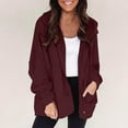 thumbnail image 2 of QQAMB Women's Sweatshirts Casual Solid Color Long Sleeve Zipper Hoodies Sweatshirts Loose Coat with Pocket Wine S, 2 of 8