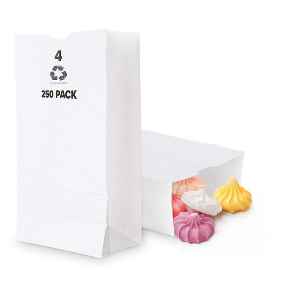 4 Lb Kraft White Paper Bags Lunch (250 Count) - Bulk Disposable Lunch Sacks, Small Size Blank Bag for Kids, Good for a Snack, Sandwich, Grocery Food, and Arts & Crafts Projects, Stock Your Home