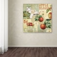thumbnail image 4 of Trademark Fine Art "Apple Blossoms I" Canvas Art by Color Bakery, 4 of 4