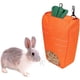 thumbnail image 1 of Bolsa de heno para conejo, bolsas de heno para cerdo, bolsa de alimentación para conejos con forma de zanahoria, bolsa de heno colgante para animales PEQUEÑOS para conejos, cobayas, Chinchilla Rojo Verde Cocina, Decoración y Otros, 1 of 4