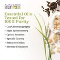 thumbnail image 2 of Aura Cacia Helichrysum Essential Oil with Jojoba Oil .5 Fl oz., 2 of 7