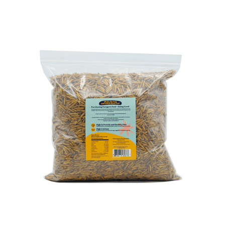 Forager's Feed Whole Dried Black Soldier Fly Larvae, Sustainable Chicken and Livestock Feed for Animal Health, 2 Lbs. Resealable Bag