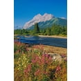 thumbnail image 2 of Jaynes Gallery 11x14 Black Ornate Wood Framed with Double Matting Museum Art Print Titled - Canada-Alberta-Kananaskis Country Landscape with mountain-stream and fireweed flowers, 2 of 4