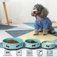 thumbnail image 2 of Cuenco para perros Sweejar de cerámica con estampado de huesos, 500 ml, 1,2 l, 2 l, 2 of 6