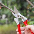 thumbnail image 4 of Garden Shears Hand Pruner Shears Pruning Tool_Quality Gift Gift, 4 of 4