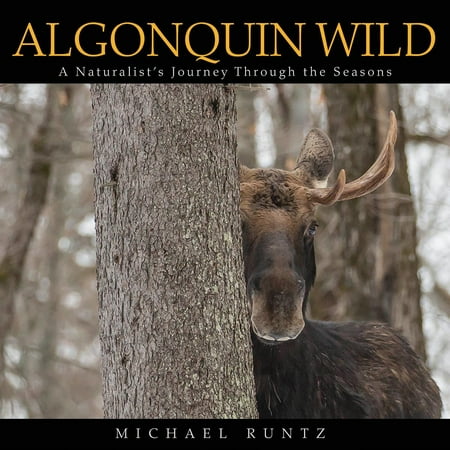 Algonquin Wild: A Naturalist's Journey Through the Seasons