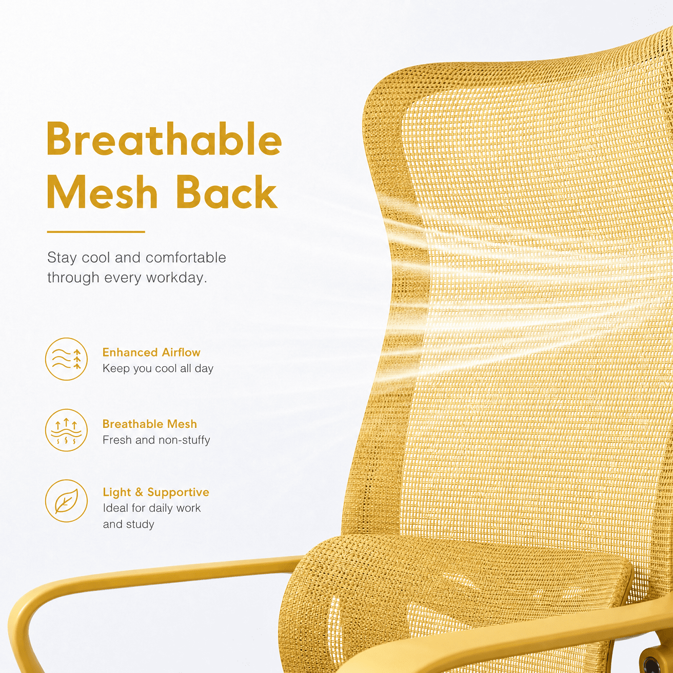 Homy Casa Ergonomic Mesh Office Chair with Adjustable Lumbar Support, High Back Desk Chair