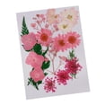 thumbnail image 2 of Flore hojas secas naturales adornos pa bricoje decoración pa álbum de recorte crisantemo + flor de melocotón + estreldo Gloria Flores secas prensadas naturales, 2 of 9