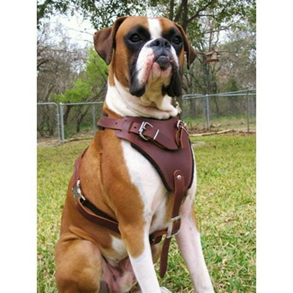 Dean & Tyler Leather Dog Harness The Boss Brown Medium Adjustable for Big Breeds