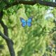 thumbnail image 3 of Decoración de pared de mariposa de Metal, decoración artística de pared para valla al aire libre, colgante para jardín, patio, sala de estar, dormitorio, Patio, balcón, 3 of 5