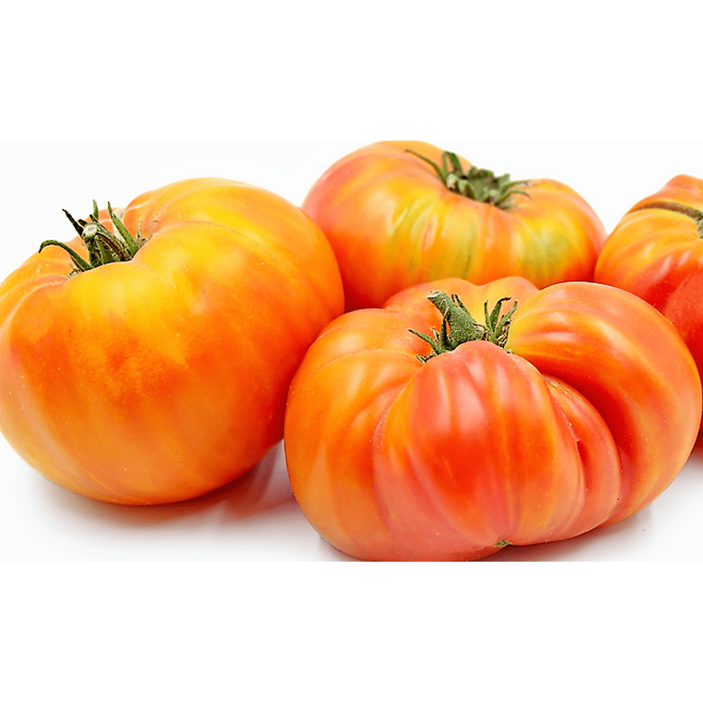 Hillbilly West Virginia Heirloom Tomato Seeds