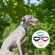 thumbnail image 4 of KAKOWELY 4 collares para mascotas con cascabel, ajustables, con lazo, para cachorros., 4 of 4