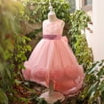 thumbnail image 4 of Vestido Para Niñas, Ropa Para Niñas Pequeñas, Vestido Para Niños Pequeños, Hilo De Red, Lazo, Fiesta De Cumpleaños, Vestido De Flores, Vestidos Para Niños, Rosa Odeerbi LM103-3463, 4 of 5