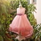thumbnail image 4 of Vestido Para Niñas, Ropa Para Niñas Pequeñas, Vestido Para Niños Pequeños, Hilo De Red, Lazo, Fiesta De Cumpleaños, Vestido De Flores, Vestidos Para Niños, Rosa Odeerbi LM103-3459, 4 of 5