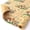 Baby Animal-Garden, variant on Woodland Animal Kraft Wrapping Paper 22 x 58in Baby Shower Gift Wrap Forest Themed Newborn Party Gift Wrap Paper